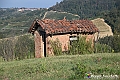VBS_5752 - C'è un mare di velluto verde! E tu che sognavi di andare lontano... Quanta meraviglia, quì!
